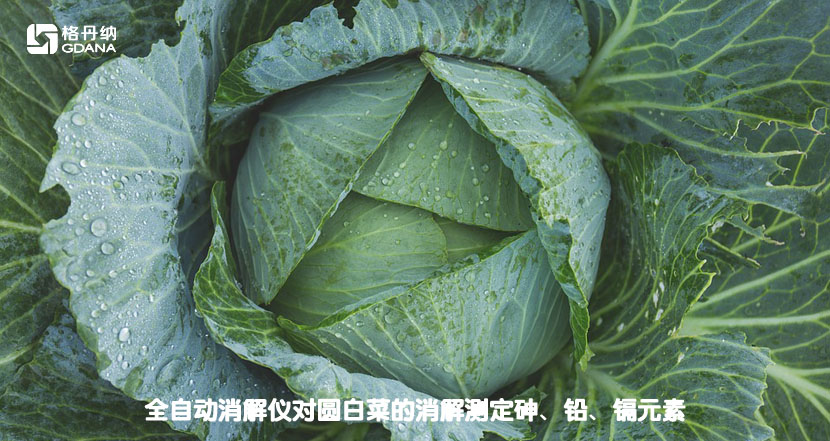 全自動消解儀對圓白菜的消解測定砷、鉛、鎘元素